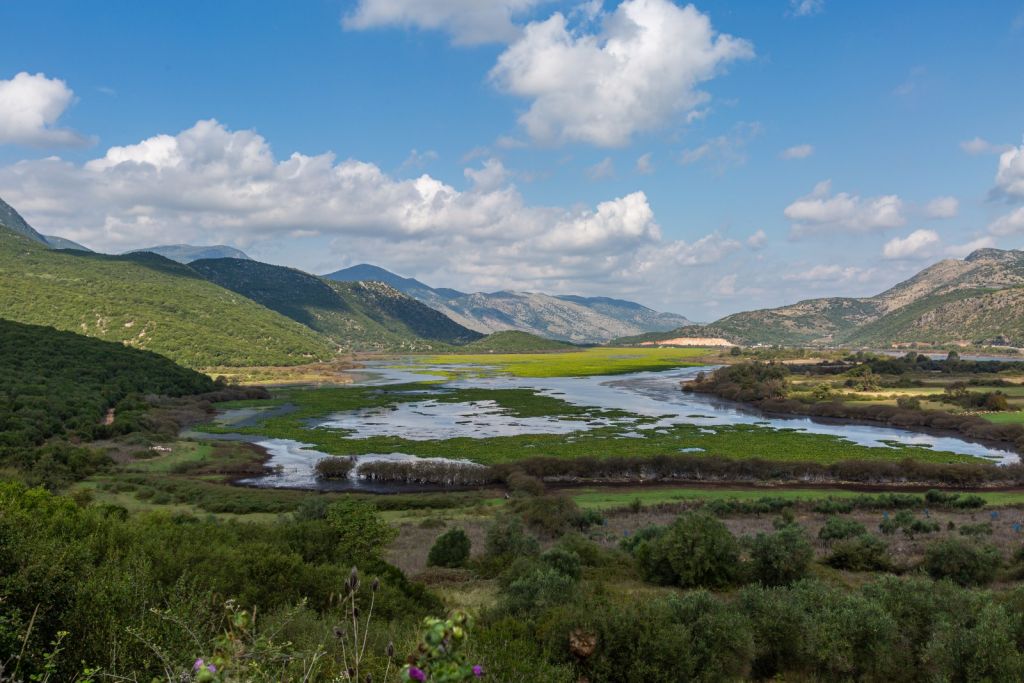 Περιβαλλοντικές Οργανώσεις