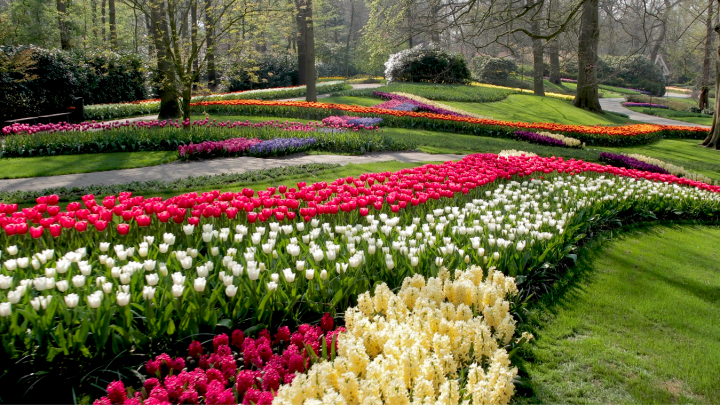 φωτογραφία: Keukenhof.nl