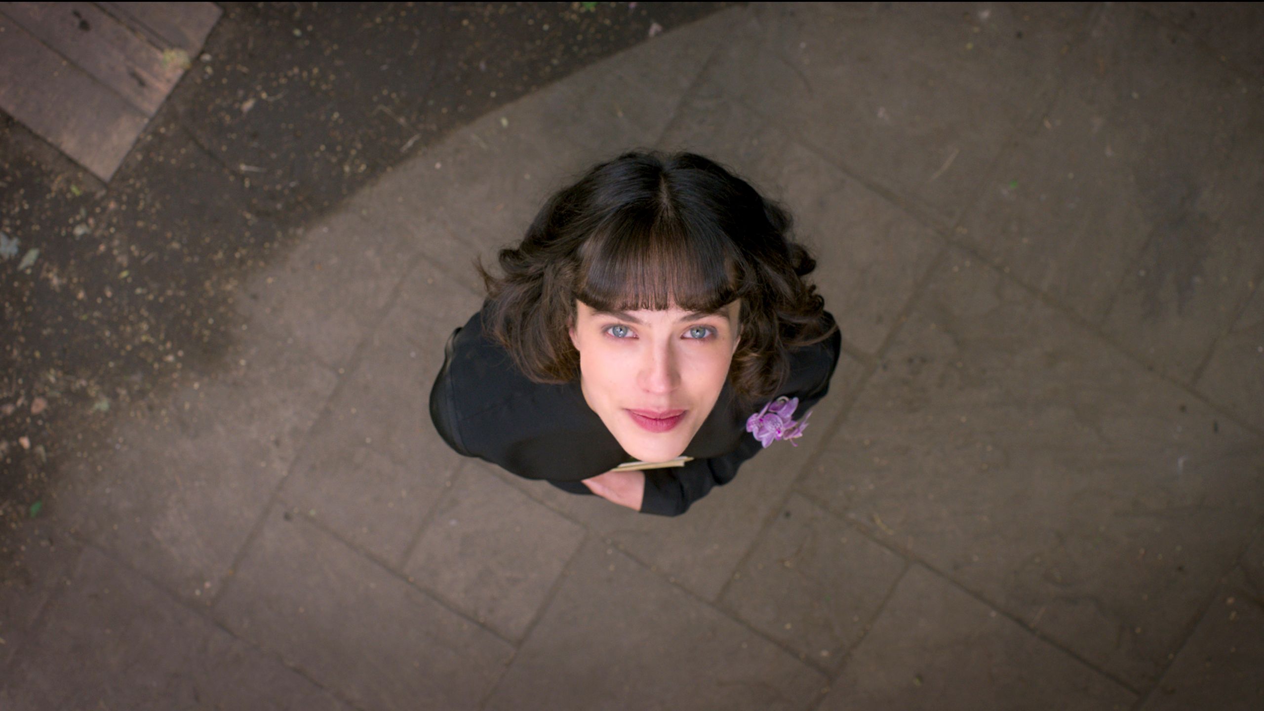 This Beautiful Fantastic