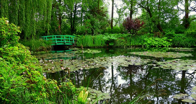 Monet's garden in Giverny, France / © Boon Hong Seto