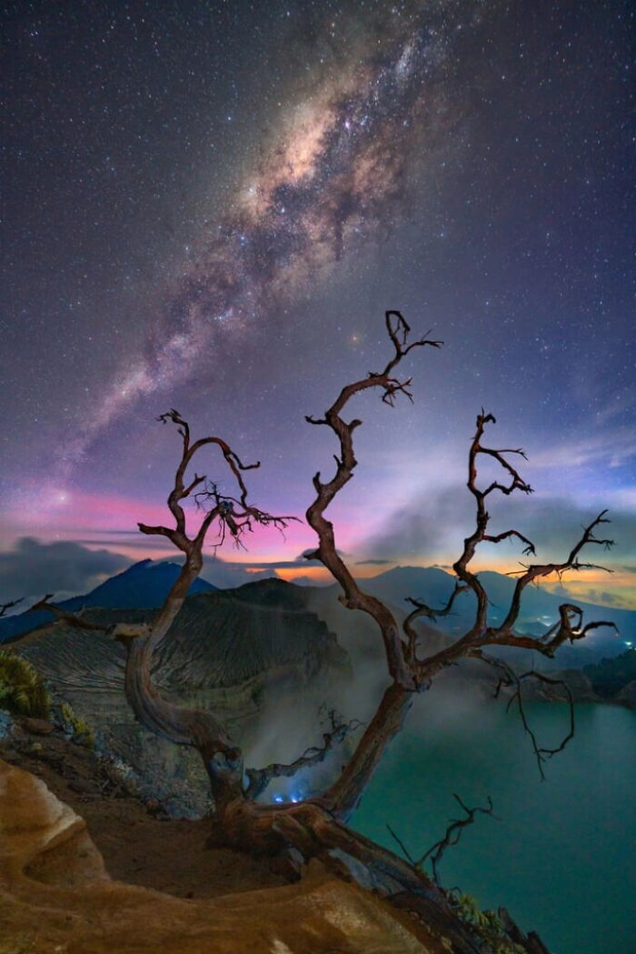 “Around Dead Trees” του Gary Bhaztara. Απεικονίζει: Java, Indonesia