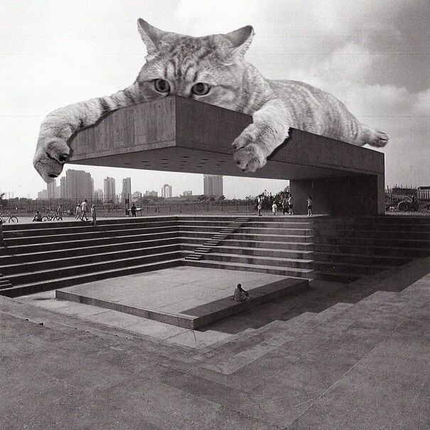 Credits: cats_of_brutalism