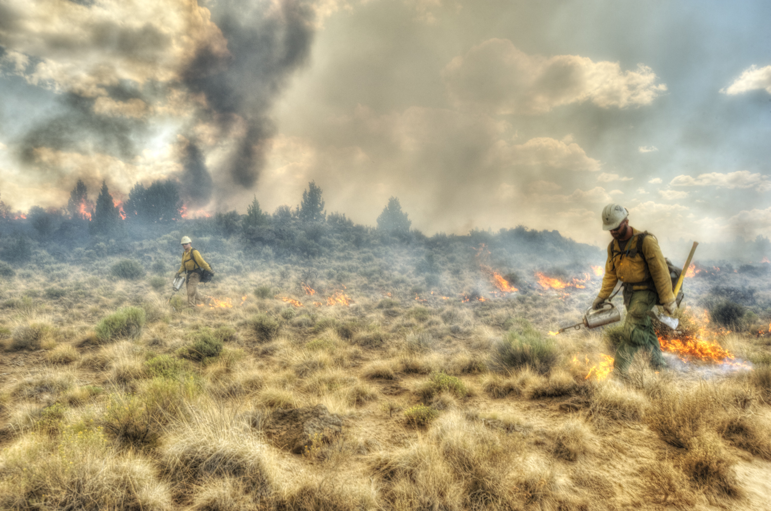 Photo by Bureau of Land Management.