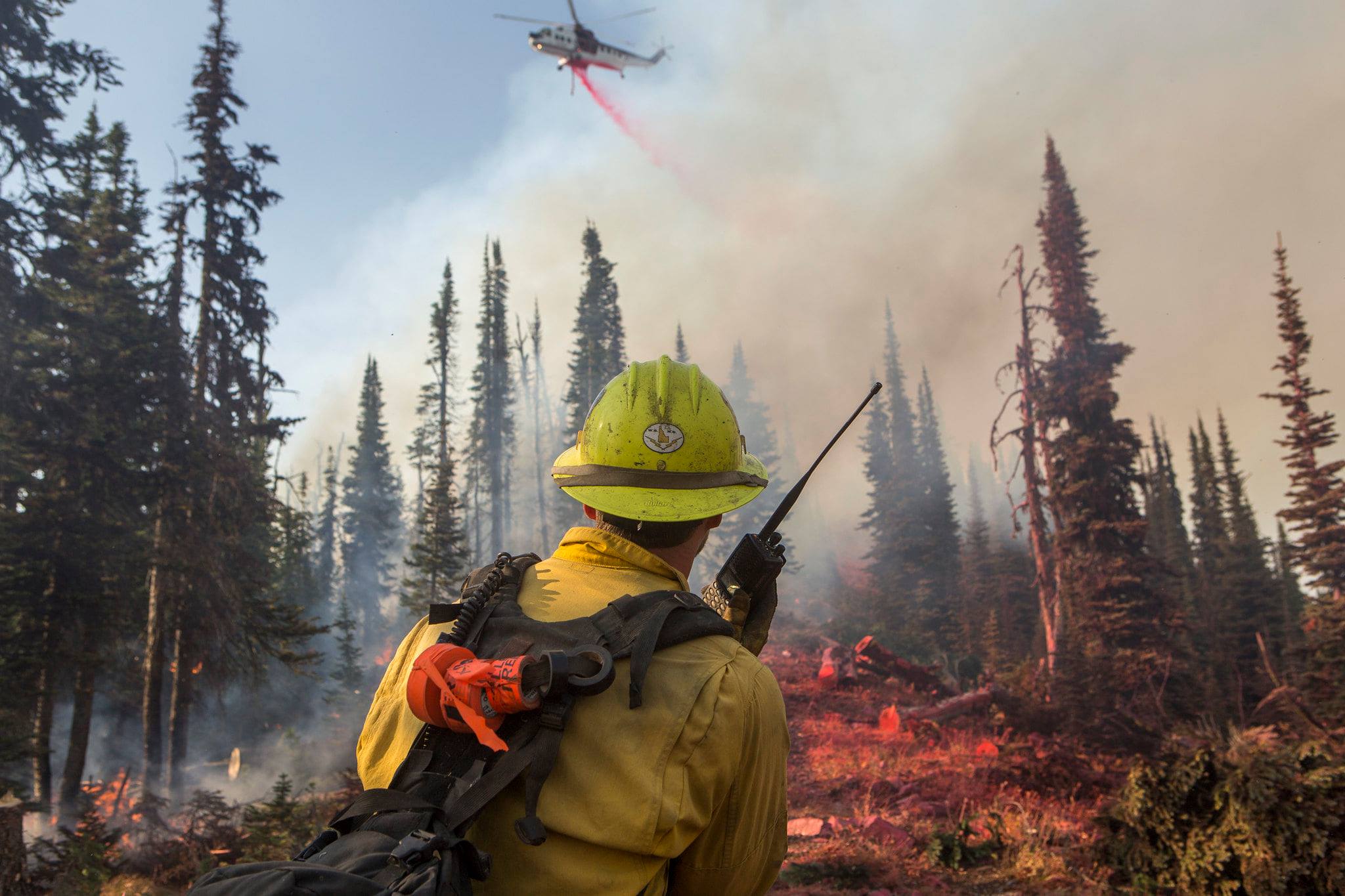 Photo by Kari Greer, U.S. Forest Service.