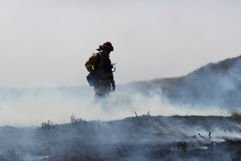 Photo by the U.S. Forest Service.