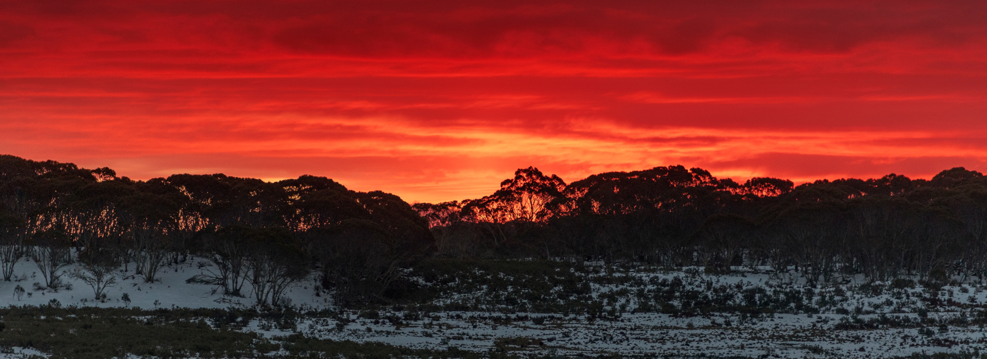 Tzortzis Snowy hydro New South Wales Australia