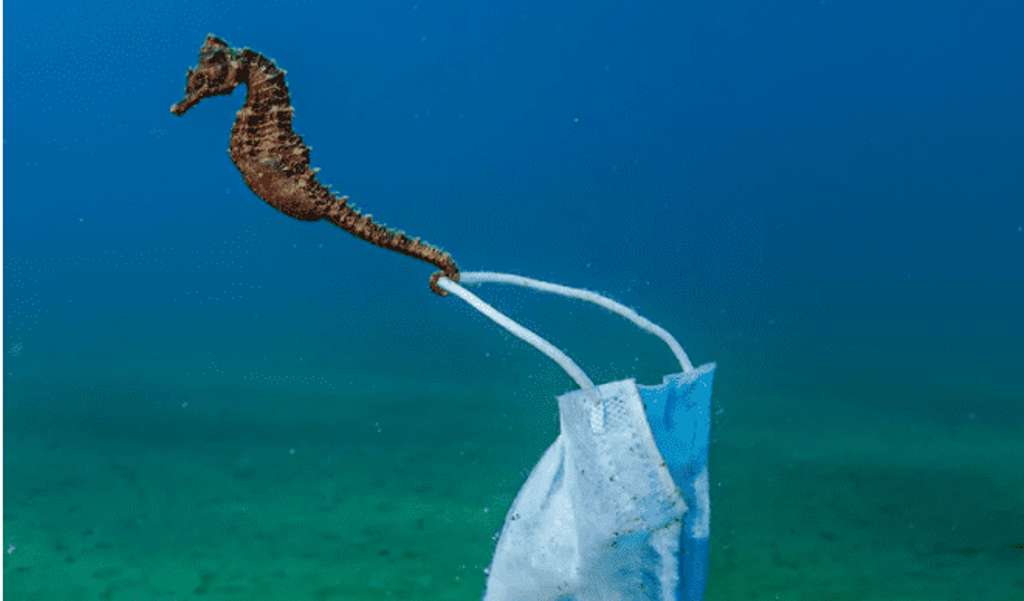 Φωτογραφία: Νικόλας Σαμαράς