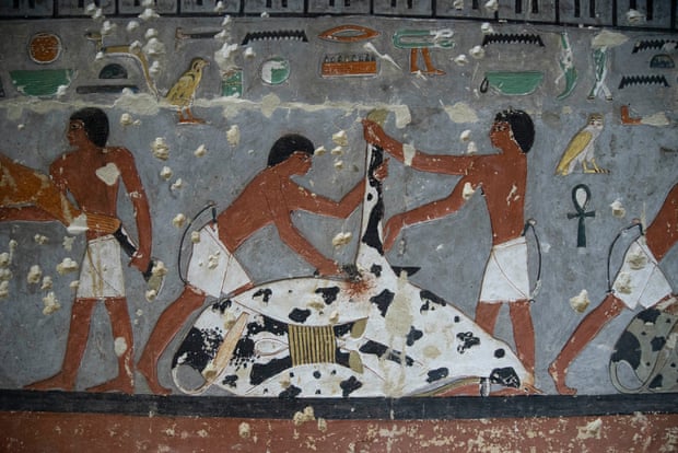 Τοιχογραφία που ανακαλύφθηκε στον τάφο του Αιγυπτίου ευγενή. Photo Credits: Ian Glatt/National Geographic/Windfall Films