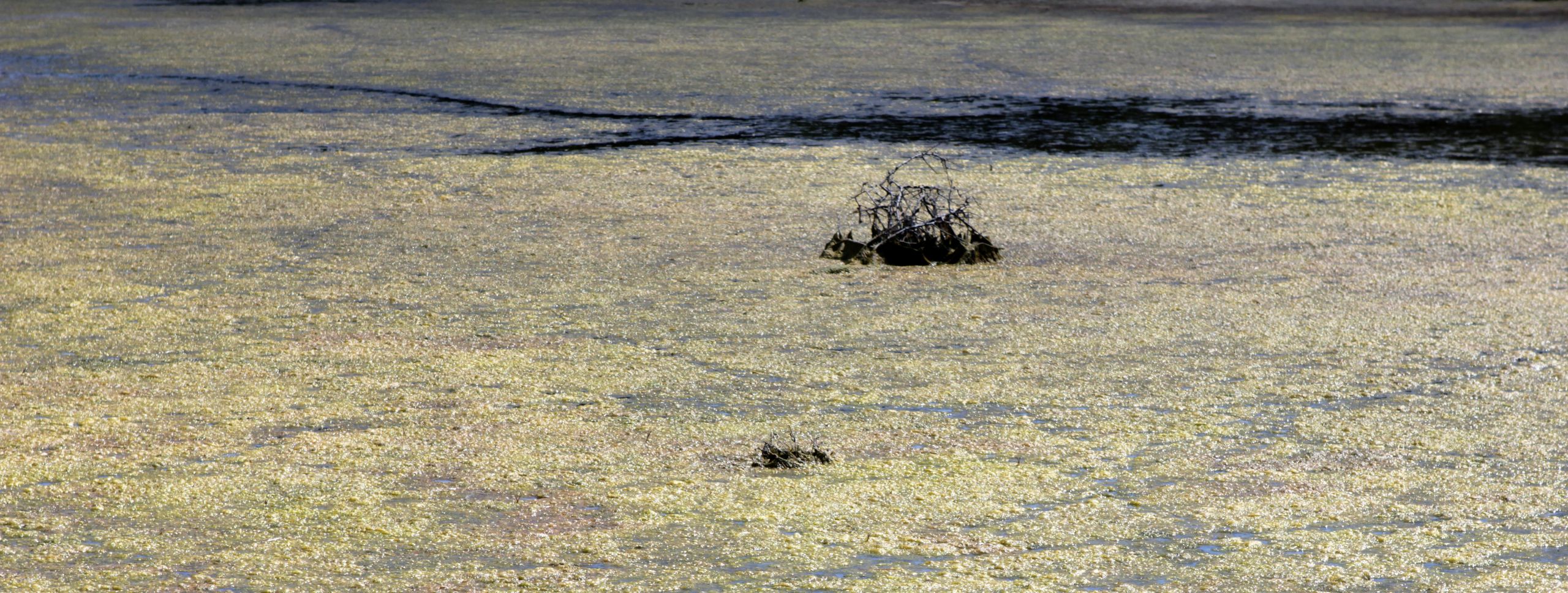 Songlines: Η in situ έκθεση της Κατερίνας Κατσιφαράκη στο Μέγαρο Μουσικής Αθηνών