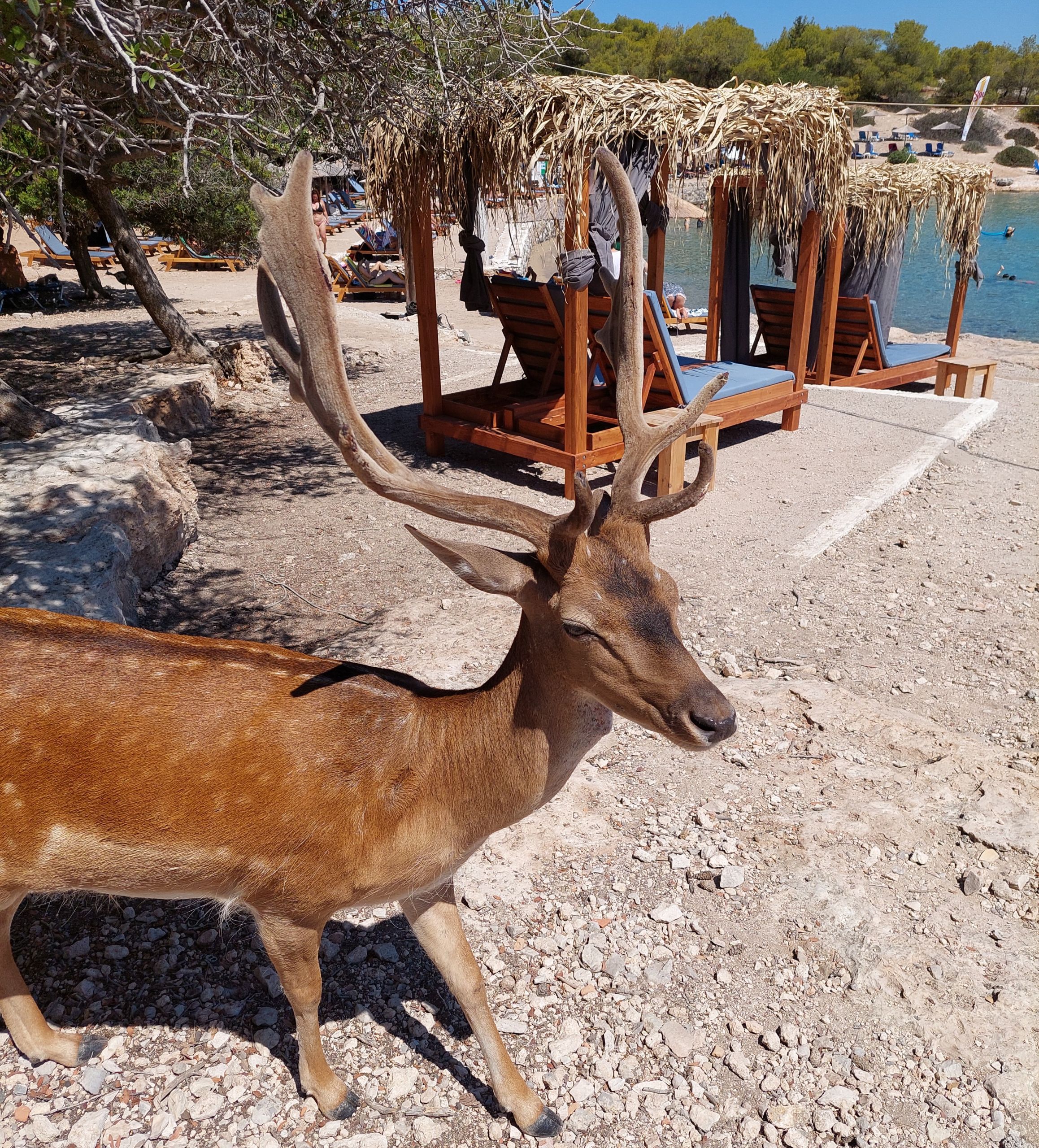 Φωτογραφία: Μωραΐτη Ειρήνη