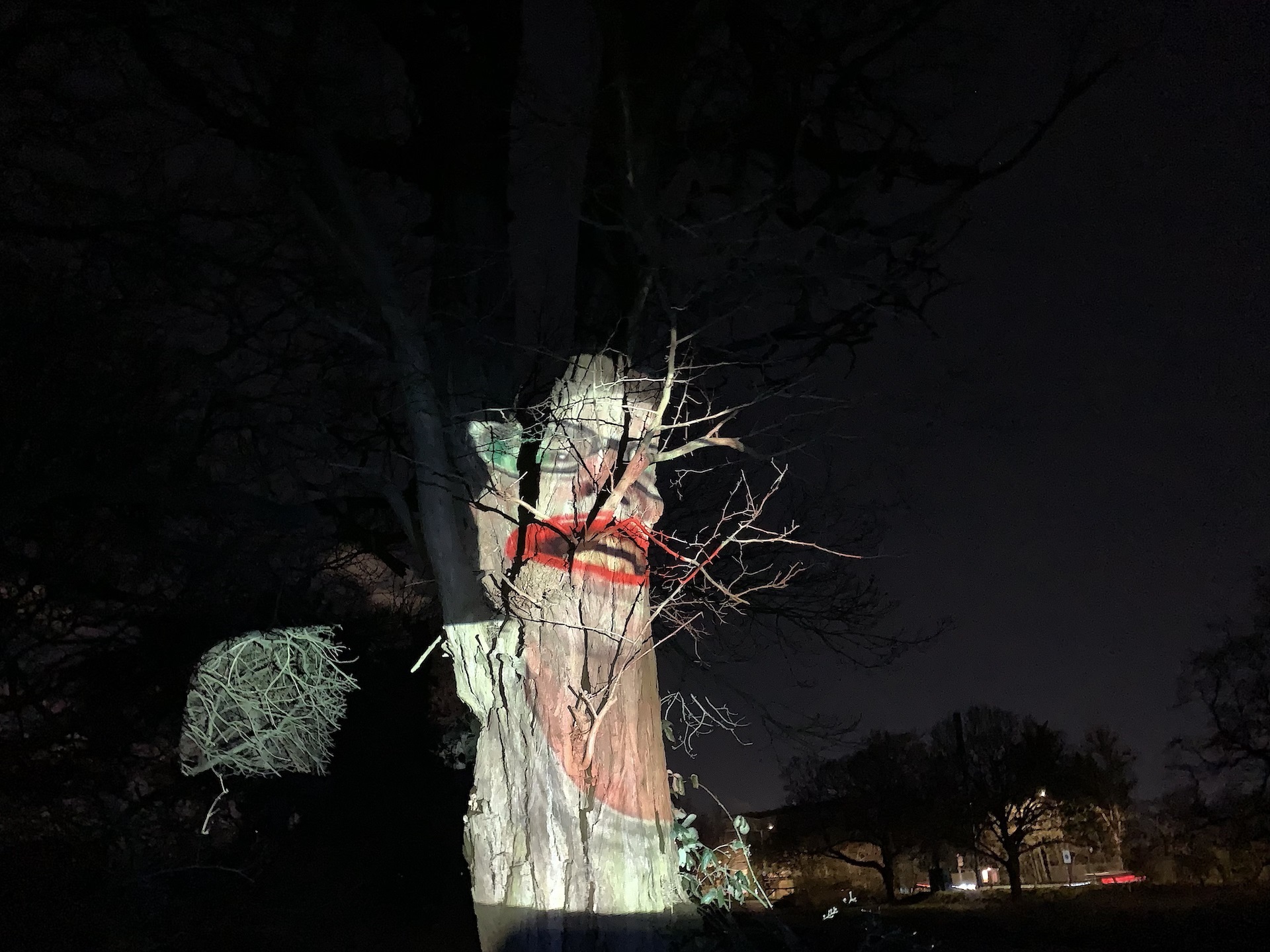 People on trees: Βιντεο-εγκατάσταση και performance του Φίλιππου Τσιτσόπουλου στο Κέντρο Τεχνών Δήμου Αθηναίων