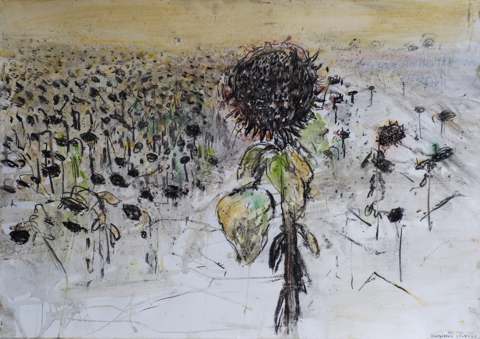 Πίσω στα Χωράφια: Έκθεση του Γιάννη Καστρίτση στην αίθουσα τέχνης έκφραση-γιάννα γραμματοπούλου