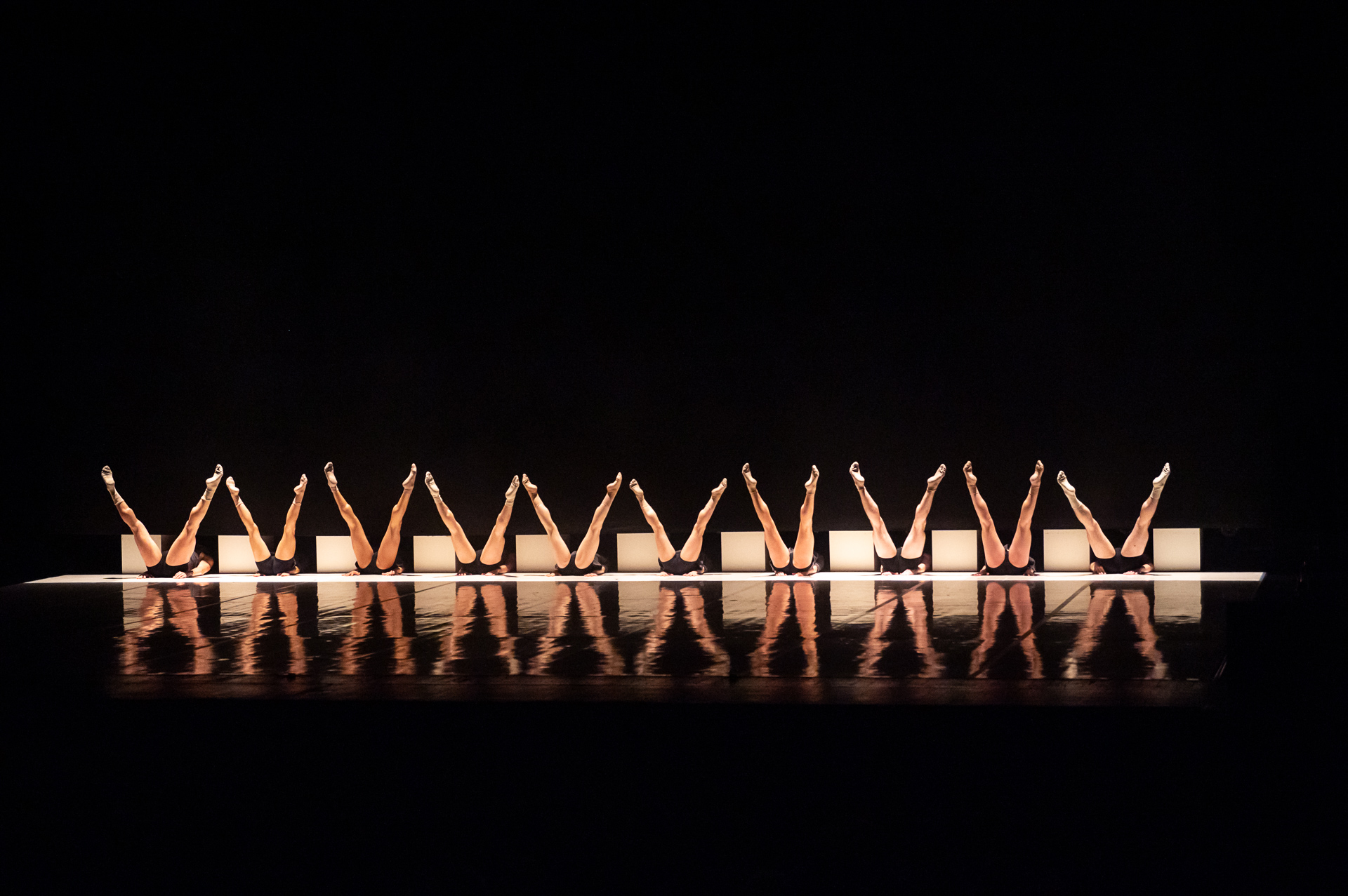 Dance Me: Το διάσημο Ballets Jazz Montréal έρχεται στο Μέγαρο με έναν χορευτικό φόρο-τιμής στον Leonard Cohen