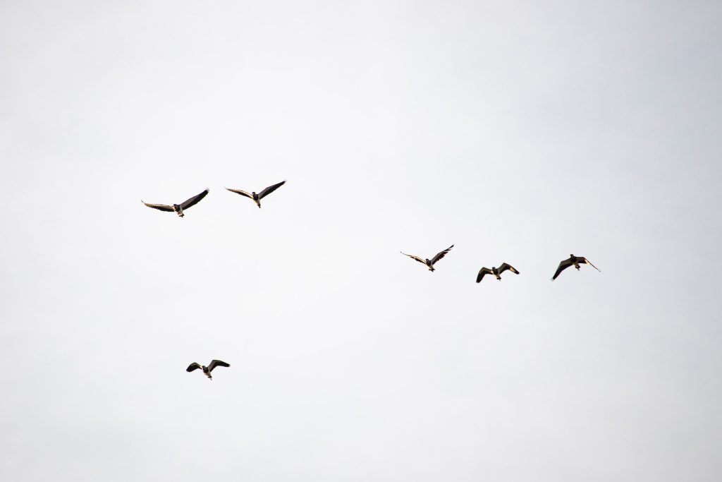 Photo by Julia Craice on Unsplash