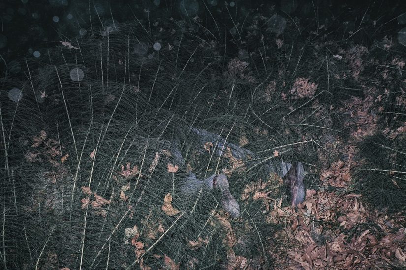 Abandoned Cartographies and Other Odd Hours: Ομαδική έκθεση στην Γκαλερί Can
