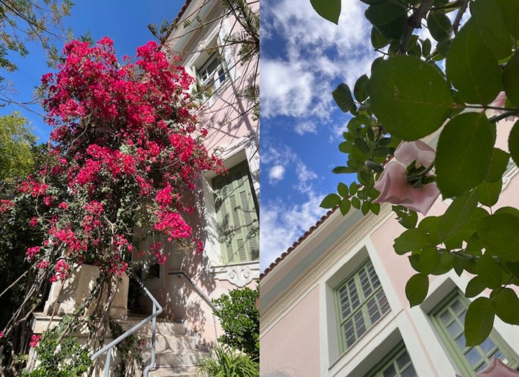 Τι μας φέρνεις, Χελιδόνι;: Μια συμμετοχική παράσταση για όλη την οικογένεια από την ομάδα Μικρός Νότος