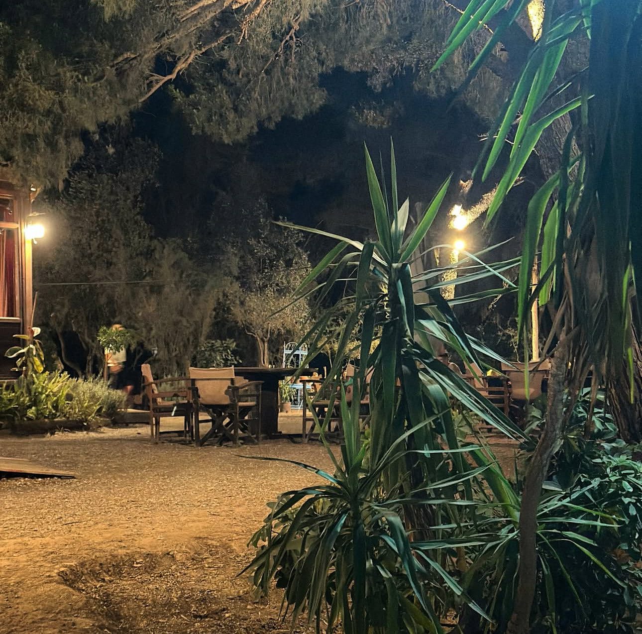 @botanical_garden_bistro