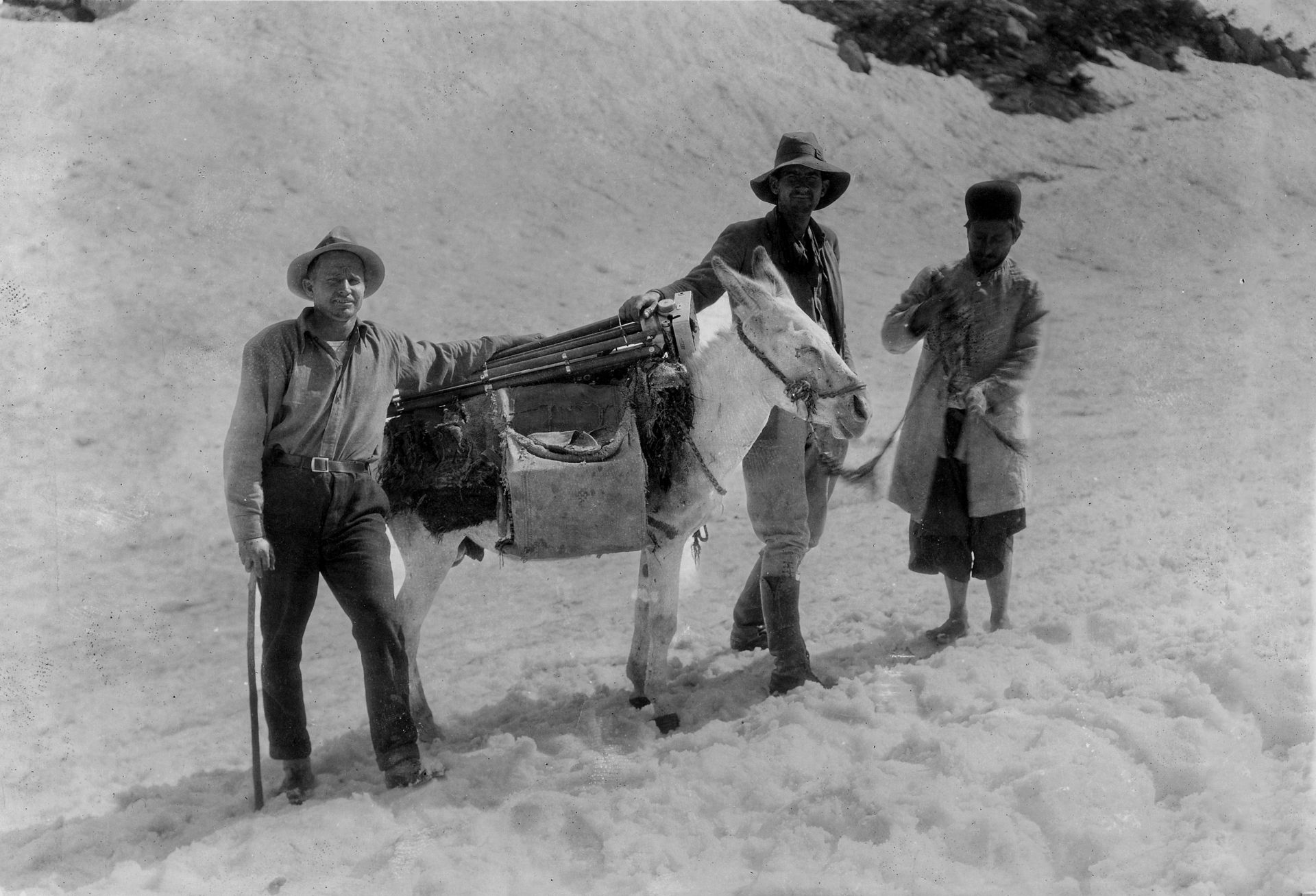 Χορτάρι: Ο αγώνας ενός έθνους για τη ζωή των Merian C. Cooper, Ernest B. Schoedsack, Marguerite Harrison