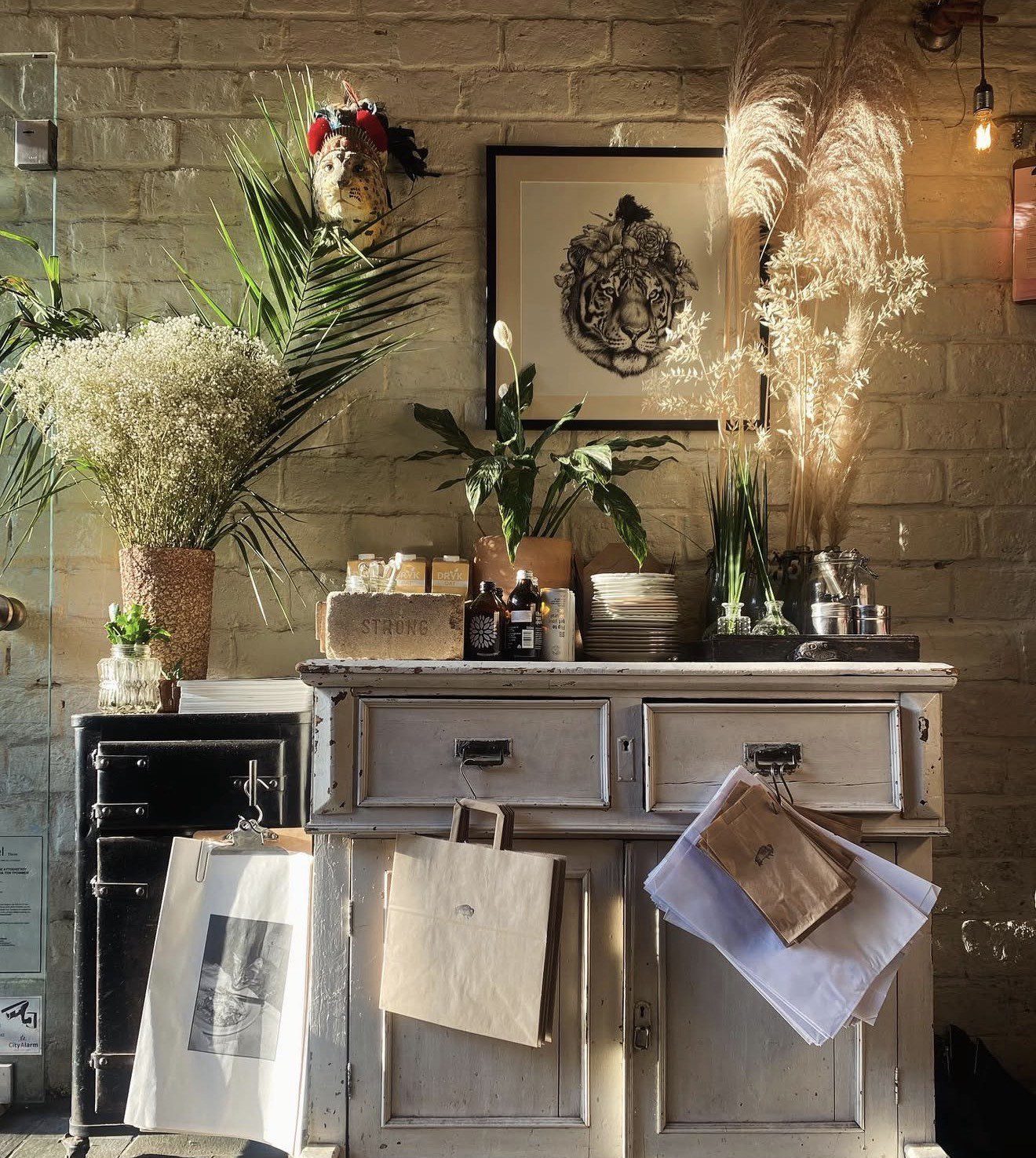 @differentbeastathens