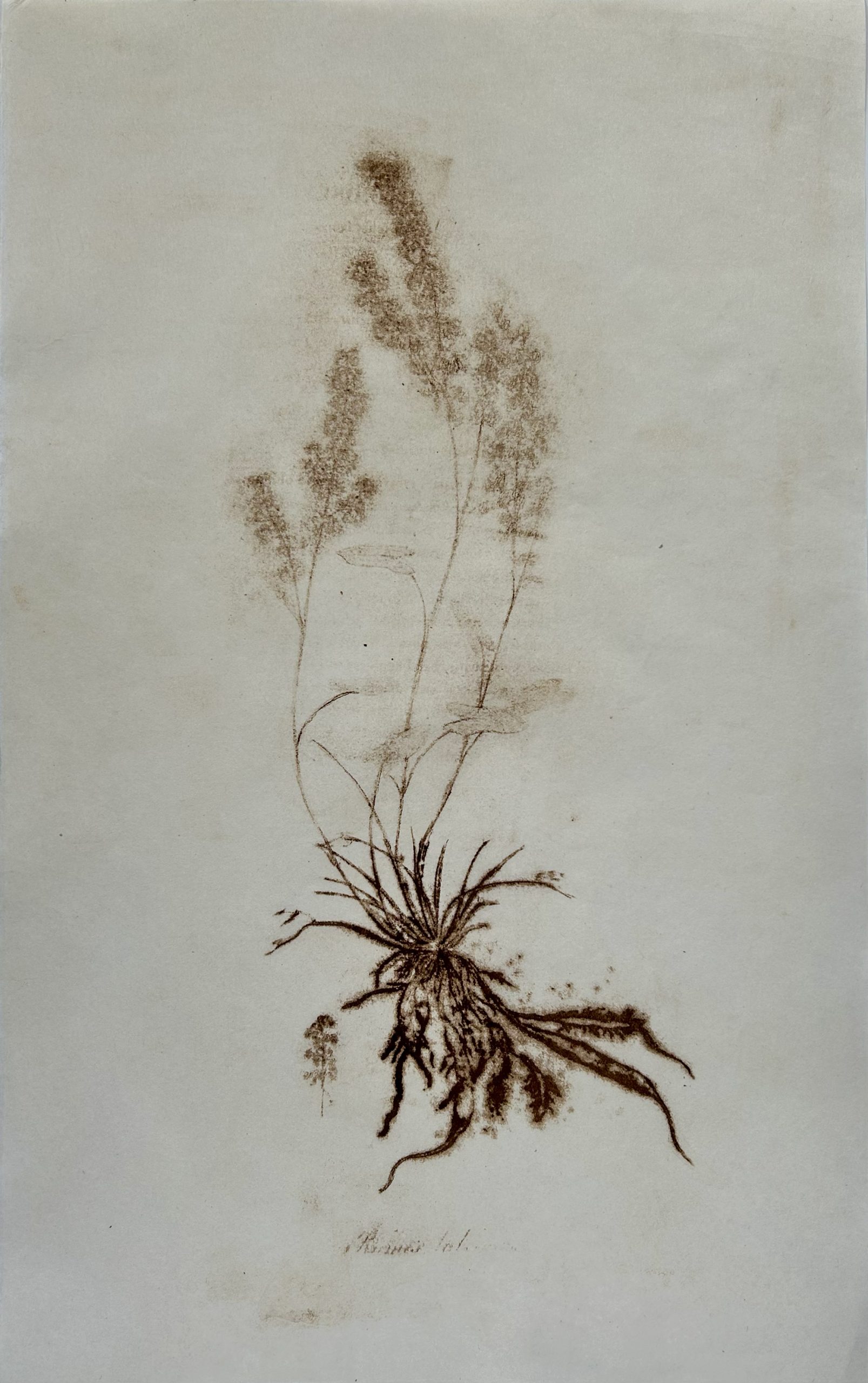 ΑΦΗγήματα: 100 Χρόνια Γεννάδειος Βιβλιοθήκη με έκθεση της ΑΦΗ collective