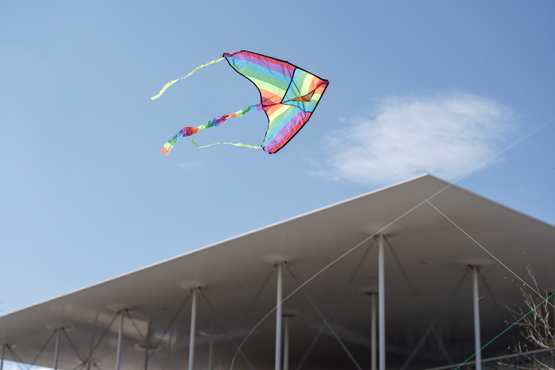 Καθαρά Δευτέρα στα πάρκα της Αθήνας: Το πέταγμα του χαρταετού στο Πάρκο του ΚΠΙΣΝ, φωτογραφία: Νίκος Καρανικόλας