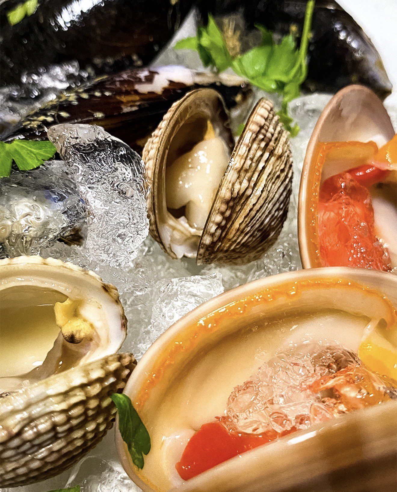 @nikopolis_thalassomezedes