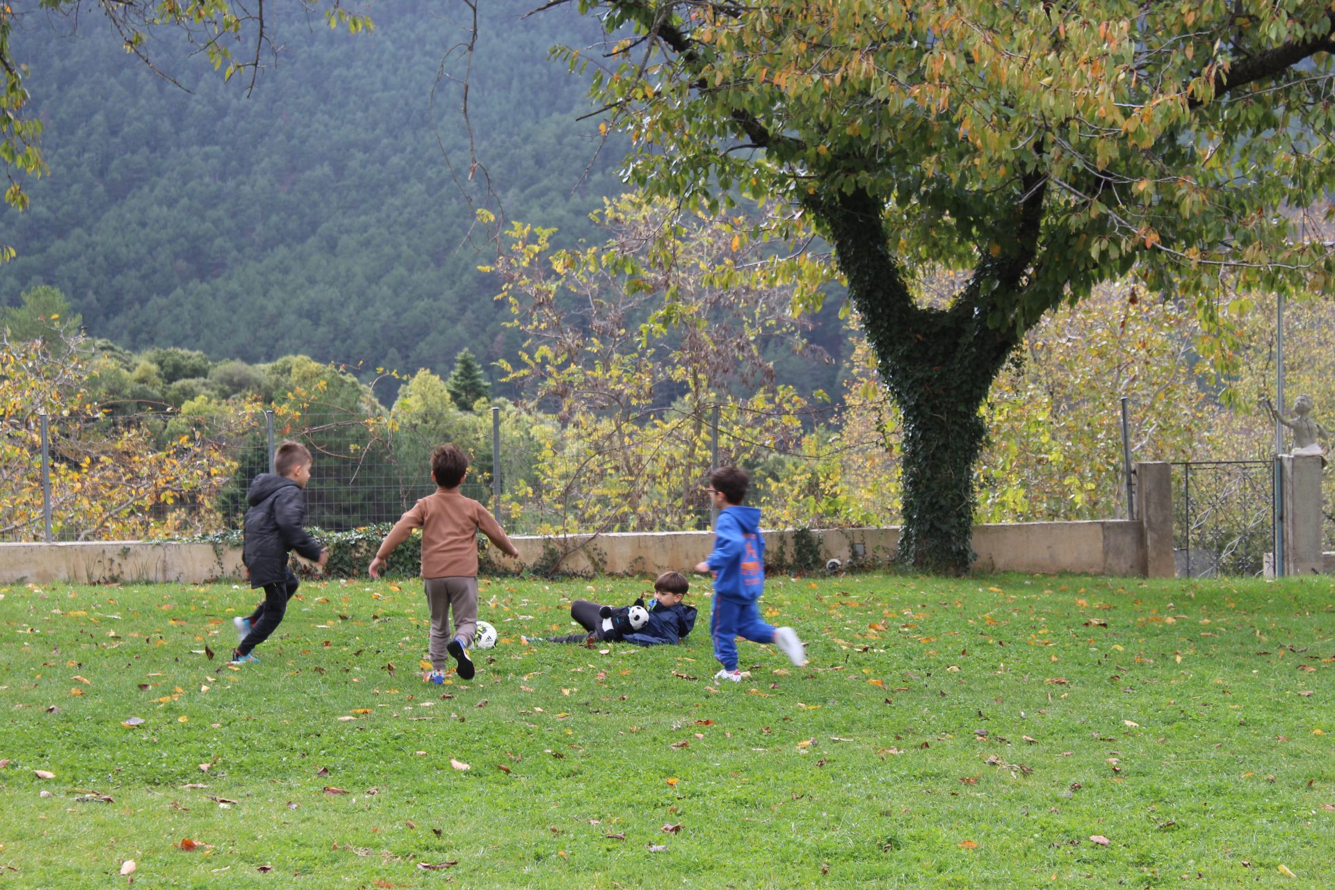 Από Μάρτη… Άνοιξη στη Βαμβακού: Ένας μήνας με δράσεις για όλους στην καρδιά του Πάρνωνα